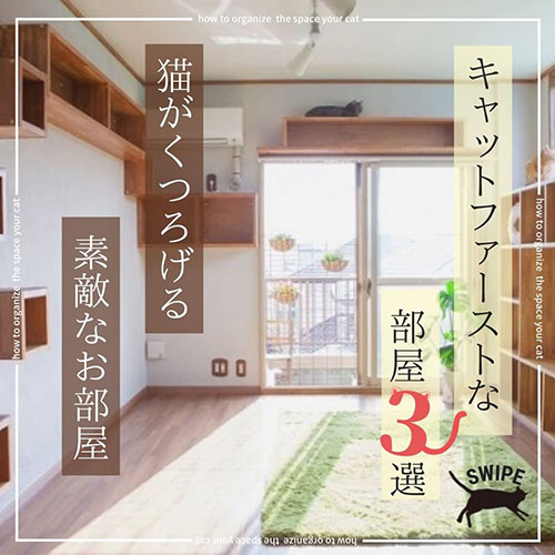 九州のペットと暮らす家専門店