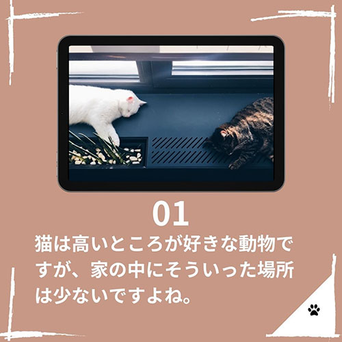 北九州のペットと暮らす家専門店