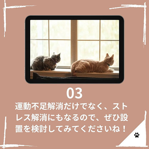 北九州のペットと暮らす家専門店