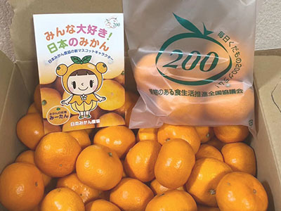 日本みかん農協様より温州みかんをいただきました。【北九州 新築・注文住宅】