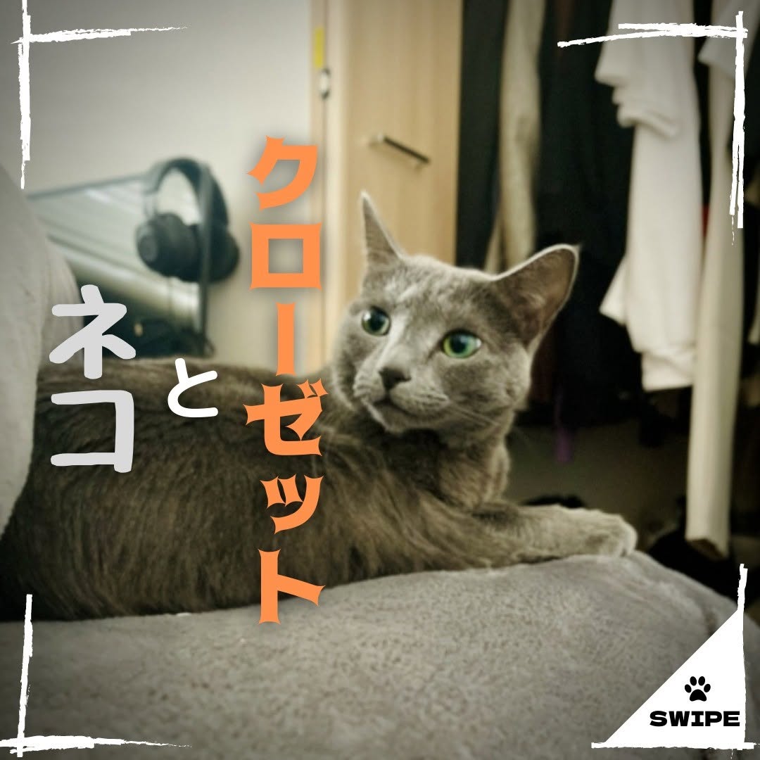 福岡県のペットと暮らす家専門店「WithPets」🐶😺のinstagram【北九州 新築・注文住宅】