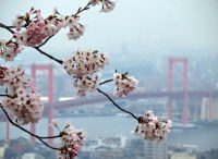 北九州市