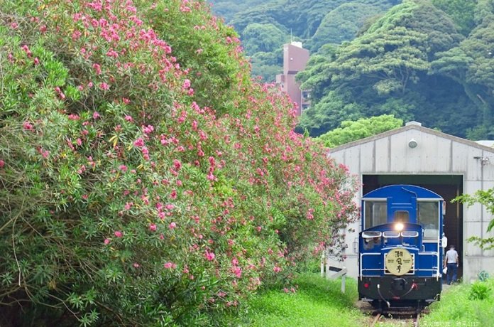 おさんぽ高槻 子連れでトロッコ潮風号とフェリーで門司港と下関を一周!
関門橋の下って歩けるの!?実際行ってみたら貴重なEF30もいて楽しかった☆