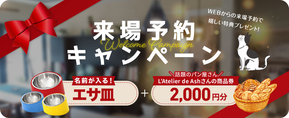 来場予約キャンペーン